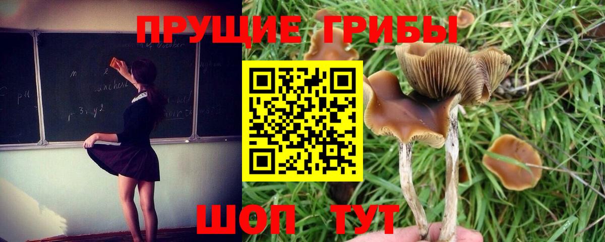 Коркино  Галлюциногенные грибы MAGIC MUSHROOMS  Вход с VPN 